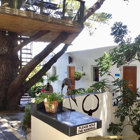 Oceangolf Guest House Noordhoek Exteriör bild